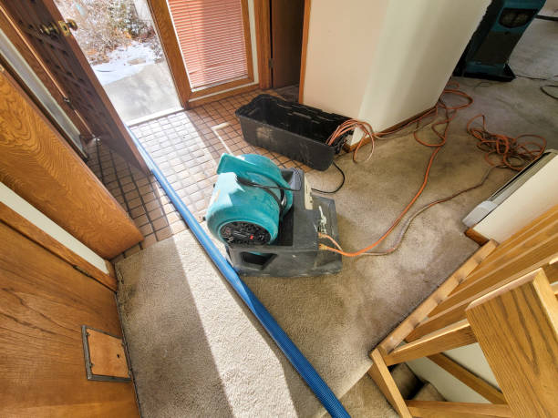 Best Fire Damage Restoration  in Middletown, PA