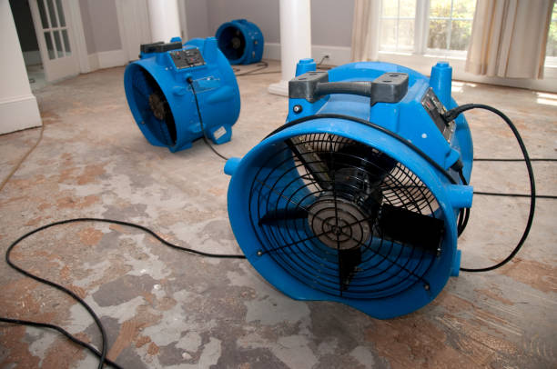 Best Mold removal after water damage  in Middletown, PA
