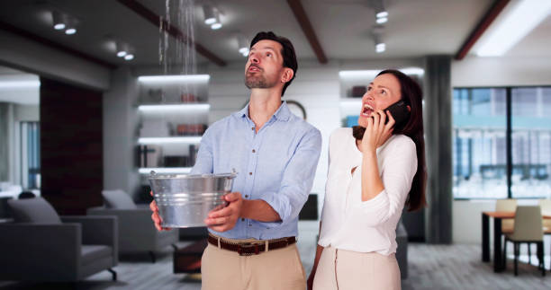 Best Local water damage restoration  in Middletown, PA