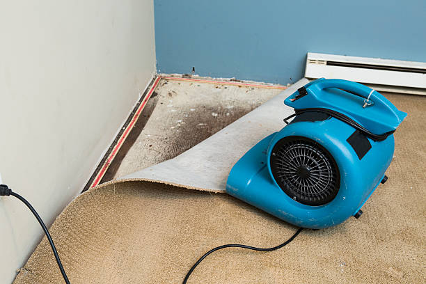 Best Basement water damage restoration  in Middletown, PA